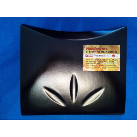 Top higher Rosy black In Majolica The Nordica Extraflame
