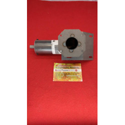 Cerino Prezzemolo Hermes Dado coclea stufa a pellet eva calor punto fuoco